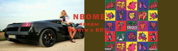 сатива Каменка