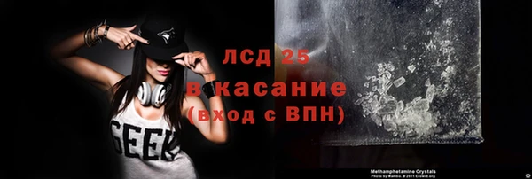 твердый Сосновый Бор