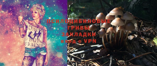 PSILOCYBIN Сосновоборск