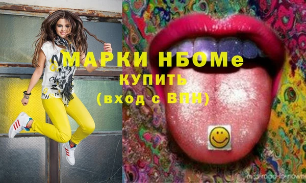 винт Няндома