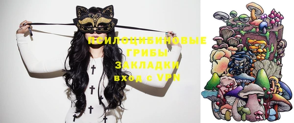 винт Няндома
