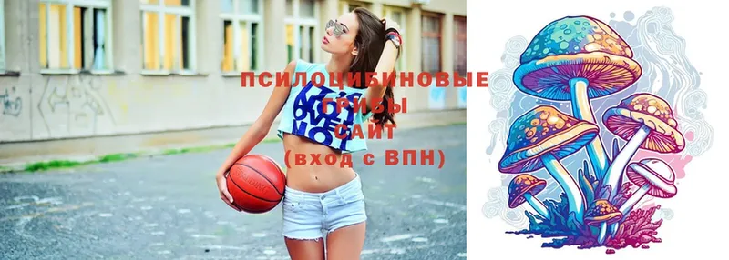 Галлюциногенные грибы Psilocybine cubensis blacksprut ссылки нарко площадка состав Холм